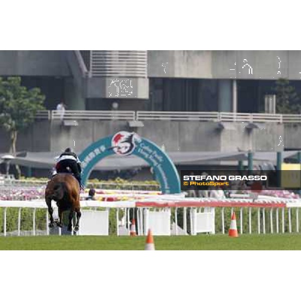 Morning trackworks at Sha Tin - Rocket Man Hong Kong - Sha Tin racecourse, 7th dec. 2011 ph.Stefano Grasso