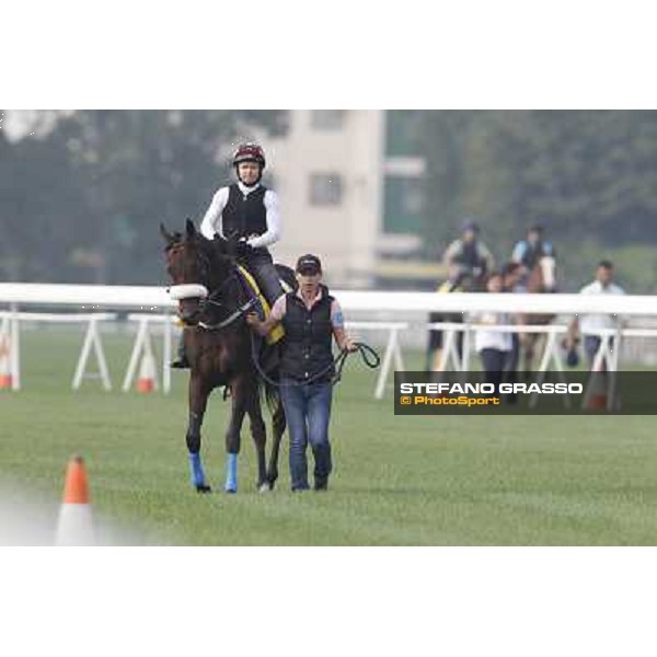 Morning trackworks at Sha Tin - Rocket Man Hong Kong - Sha Tin racecourse, 7th dec. 2011 ph.Stefano Grasso