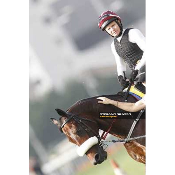 Morning trackworks at Sha Tin - Rocket Man Hong Kong - Sha Tin racecourse, 7th dec. 2011 ph.Stefano Grasso