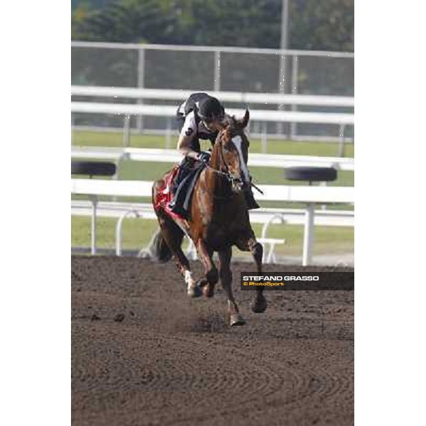 Morning trackworks at Sha Tin - Durban Thunder Hong Kong - Sha Tin racecourse, 7th dec. 2011 ph.Stefano Grasso