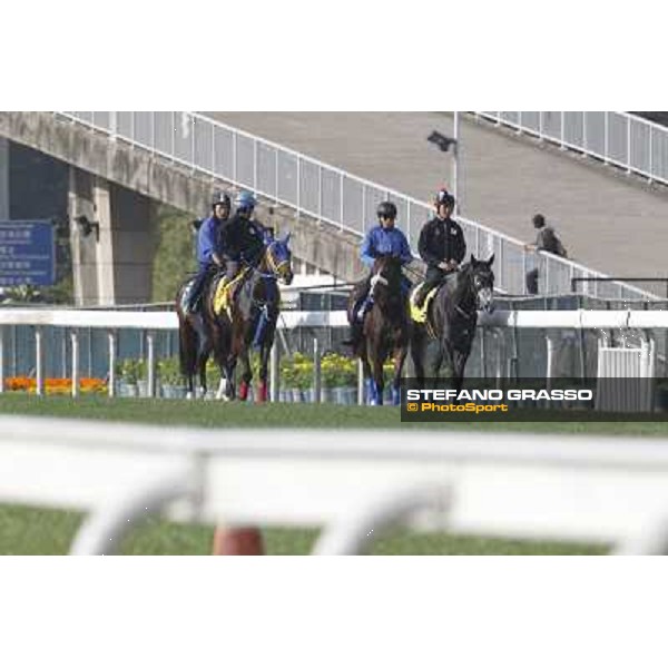 Morning trackworks at Sha Tin Hong Kong - Sha Tin racecourse, 7th dec. 2011 ph.Stefano Grasso