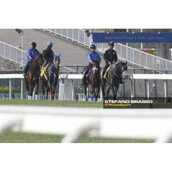 Morning trackworks at Sha Tin Hong Kong - Sha Tin racecourse, 7th dec. 2011 ph.Stefano Grasso