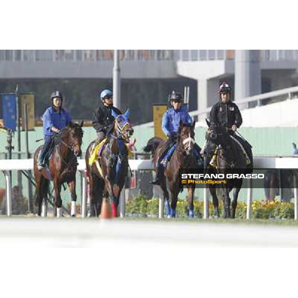 Morning trackworks at Sha Tin Hong Kong - Sha Tin racecourse, 7th dec. 2011 ph.Stefano Grasso