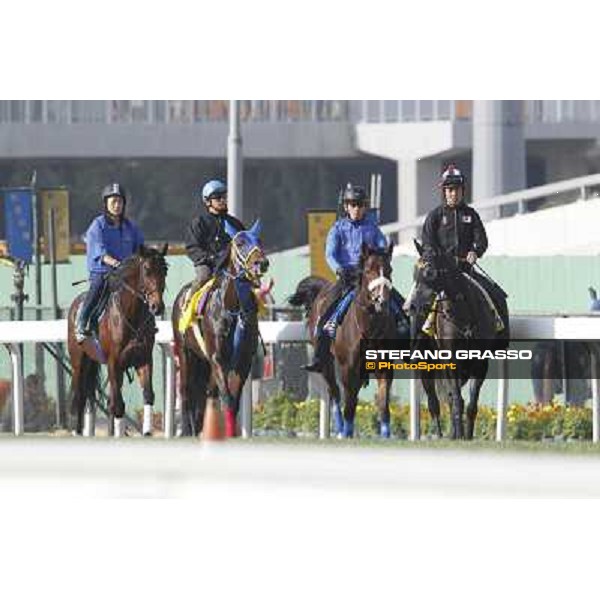 Morning trackworks at Sha Tin Hong Kong - Sha Tin racecourse, 7th dec. 2011 ph.Stefano Grasso