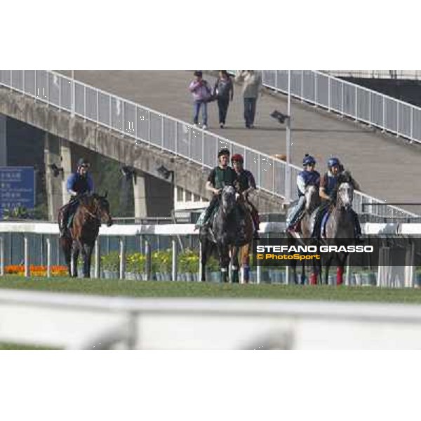 Morning trackworks at Sha Tin Hong Kong - Sha Tin racecourse, 7th dec. 2011 ph.Stefano Grasso