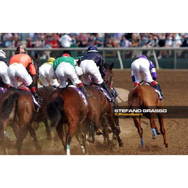 first bend of Bessemer Trust Breeders\' Cup Juvenile- at right the winner Frankie Dettori on Wilko Dallas 30th october 2004 ph. Stefano Grasso