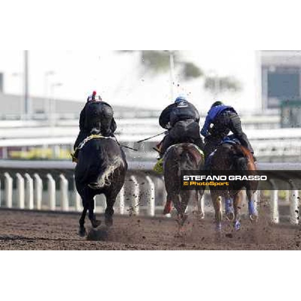 Morning trackworks at Sha Tin - The Japan connection - Apapane, Pas de Trois, Curren Chan Hong Kong - Sha Tin racecourse, 7th dec. 2011 ph.Stefano Grasso