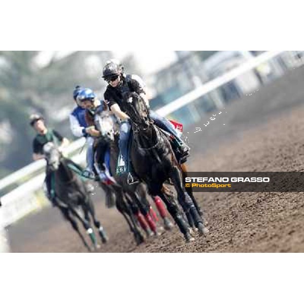 Morning trackworks at Sha Tin Hong Kong - Sha Tin racecourse, 7th dec. 2011 ph.Stefano Grasso