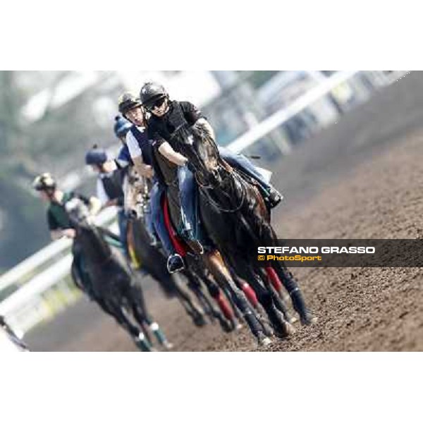 Morning trackworks at Sha Tin Hong Kong - Sha Tin racecourse, 7th dec. 2011 ph.Stefano Grasso