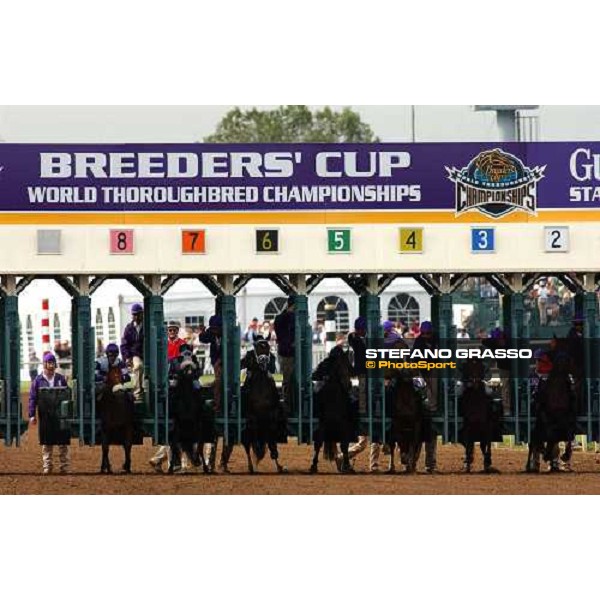 start of Bessemer Trust Breeders\' Cup Juvenile- Dallas 30th october 2004 ph. Stefano Grasso
