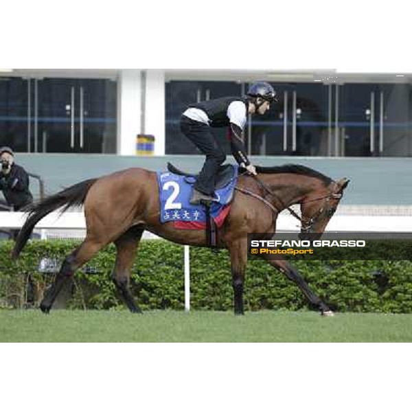 Morning trackworks at Sha Tin - Jimmy Choux Hong Kong - Sha Tin racecourse, 7th dec. 2011 ph.Stefano Grasso