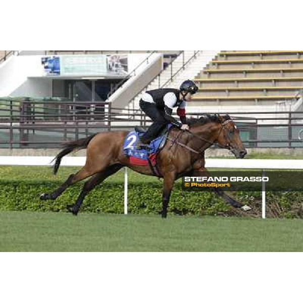 Morning trackworks at Sha Tin - Jimmy Choux Hong Kong - Sha Tin racecourse, 7th dec. 2011 ph.Stefano Grasso