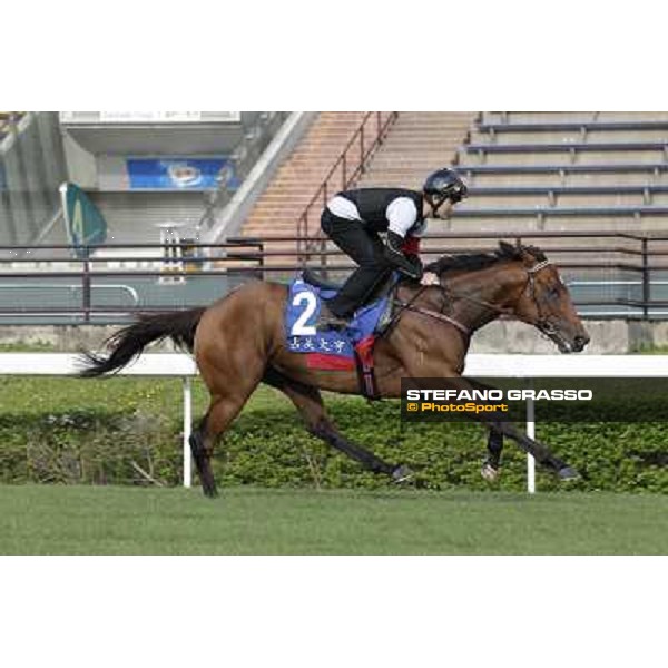 Morning trackworks at Sha Tin - Jimmy Choux Hong Kong - Sha Tin racecourse, 7th dec. 2011 ph.Stefano Grasso