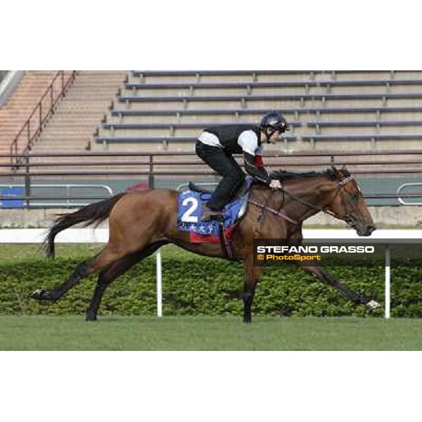 Morning trackworks at Sha Tin - Jimmy Choux Hong Kong - Sha Tin racecourse, 7th dec. 2011 ph.Stefano Grasso