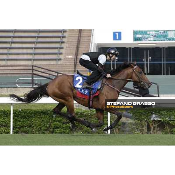 Morning trackworks at Sha Tin - Jimmy Choux Hong Kong - Sha Tin racecourse, 7th dec. 2011 ph.Stefano Grasso