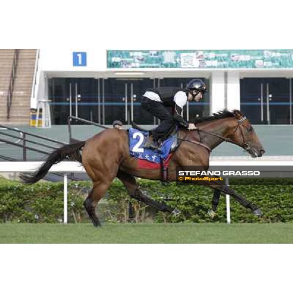 Morning trackworks at Sha Tin - Jimmy Choux Hong Kong - Sha Tin racecourse, 7th dec. 2011 ph.Stefano Grasso