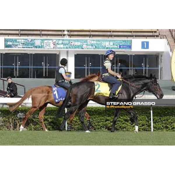 Morning trackworks at Sha Tin Hong Kong - Sha Tin racecourse, 7th dec. 2011 ph.Stefano Grasso