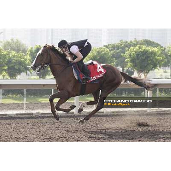 Morning trackworks at Sha Tin - Durban Thunder Hong Kong - Sha Tin racecourse, 7th dec. 2011 ph.Stefano Grasso