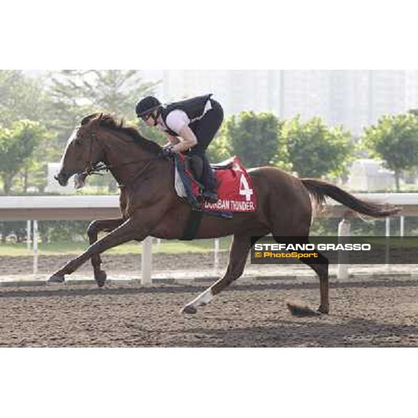 Morning trackworks at Sha Tin - Durban Thunder Hong Kong - Sha Tin racecourse, 7th dec. 2011 ph.Stefano Grasso