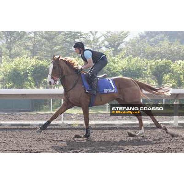 Morning trackworks at Sha Tin Hong Kong - Sha Tin racecourse, 7th dec. 2011 ph.Stefano Grasso