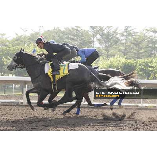 Morning trackworks at Sha Tin - The Japan connection - Apapane, Pas de Trois, Curren Chan Hong Kong - Sha Tin racecourse, 7th dec. 2011 ph.Stefano Grasso