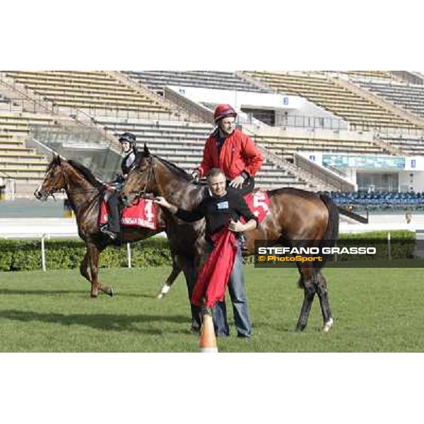 Morning trackworks at Sha Tin - Zazou Hong Kong - Sha Tin racecourse, 7th dec. 2011 ph.Stefano Grasso