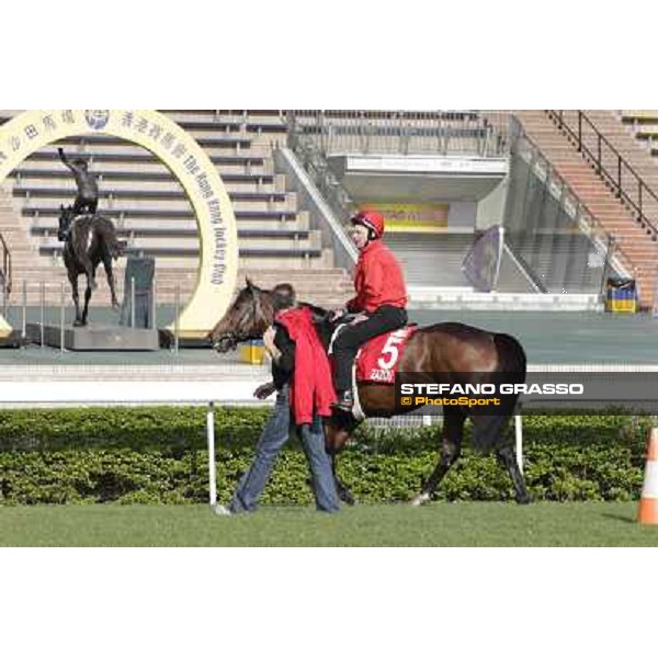 Morning trackworks at Sha Tin - Zazou Hong Kong - Sha Tin racecourse, 7th dec. 2011 ph.Stefano Grasso