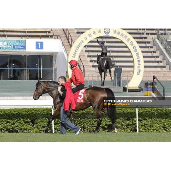 Morning trackworks at Sha Tin - Zazou Hong Kong - Sha Tin racecourse, 7th dec. 2011 ph.Stefano Grasso