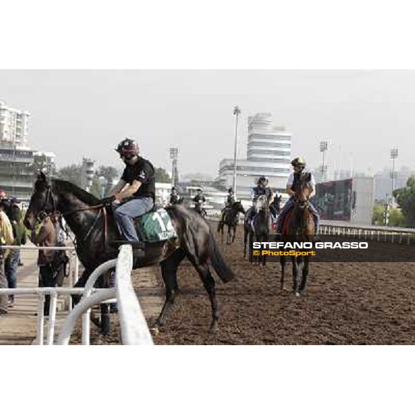 Morning trackworks at Sha Tin Hong Kong - Sha Tin racecourse, 7th dec. 2011 ph.Stefano Grasso