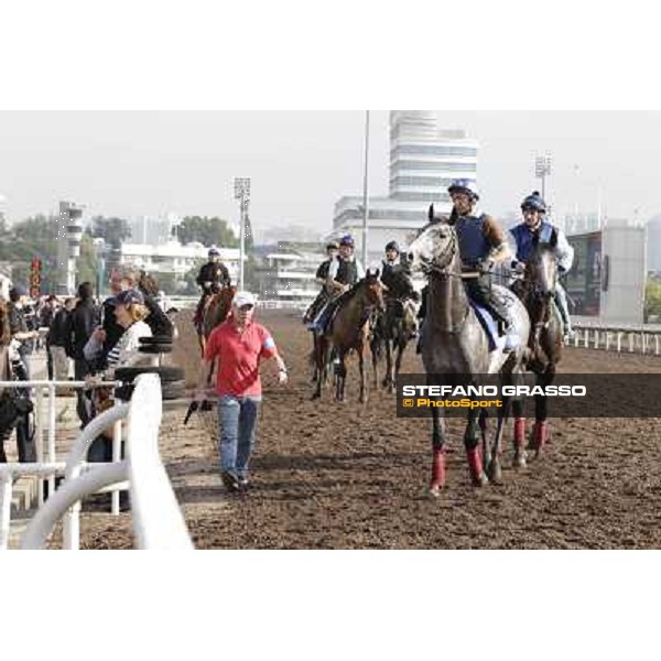 Morning trackworks at Sha Tin Hong Kong - Sha Tin racecourse, 7th dec. 2011 ph.Stefano Grasso