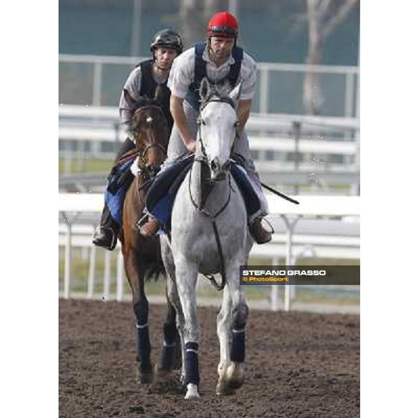 Morning trackworks at Sha Tin - Sahmia and Saphresa Hong Kong - Sha Tin racecourse, 7th dec. 2011 ph.Stefano Grasso