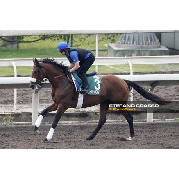 Morning trackworks at Sha Tin racecourse - Campanologist Hong Kong, 8th dec. 2011 ph.Stefano Grasso