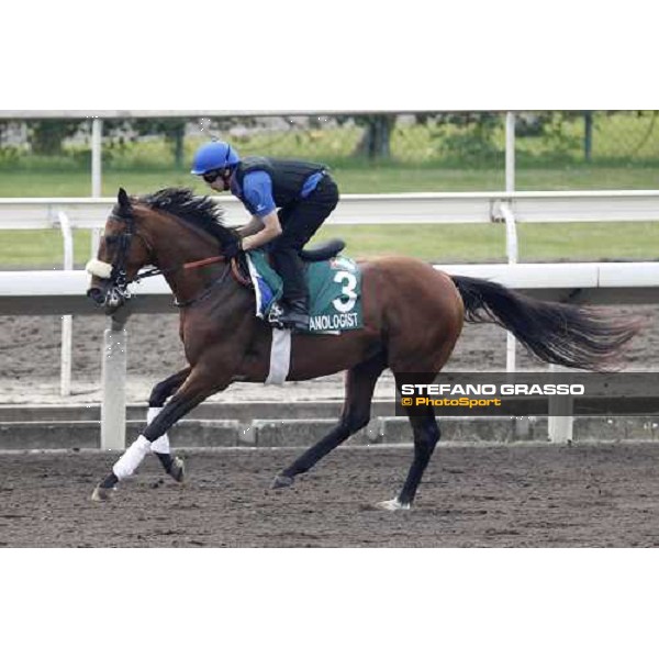 Morning trackworks at Sha Tin racecourse - Campanologist Hong Kong, 8th dec. 2011 ph.Stefano Grasso