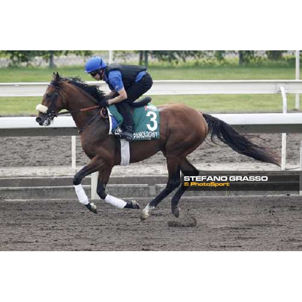 Morning trackworks at Sha Tin racecourse - Campanologist Hong Kong, 8th dec. 2011 ph.Stefano Grasso