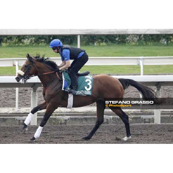 Morning trackworks at Sha Tin racecourse - Campanologist Hong Kong, 8th dec. 2011 ph.Stefano Grasso