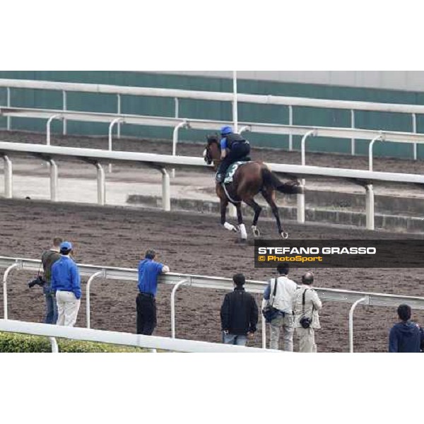 Morning trackworks at Sha Tin racecourse - Campanologist Hong Kong, 8th dec. 2011 ph.Stefano Grasso