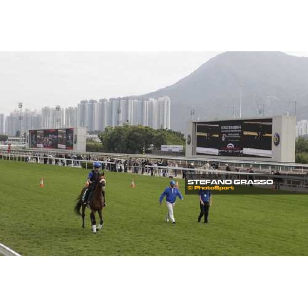 Morning trackworks at Sha Tin racecourse - Campanologist Hong Kong, 8th dec. 2011 ph.Stefano Grasso