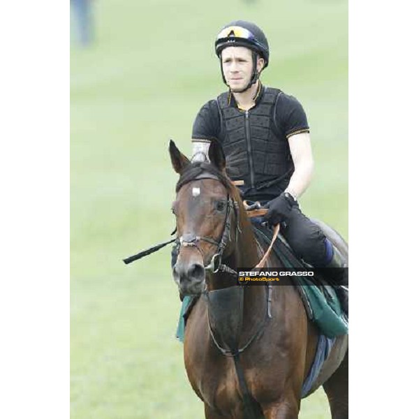 Morning trackworks at Sha Tin racecourse - Jakkalberry Hong Kong, 8th dec. 2011 ph.Stefano Grasso