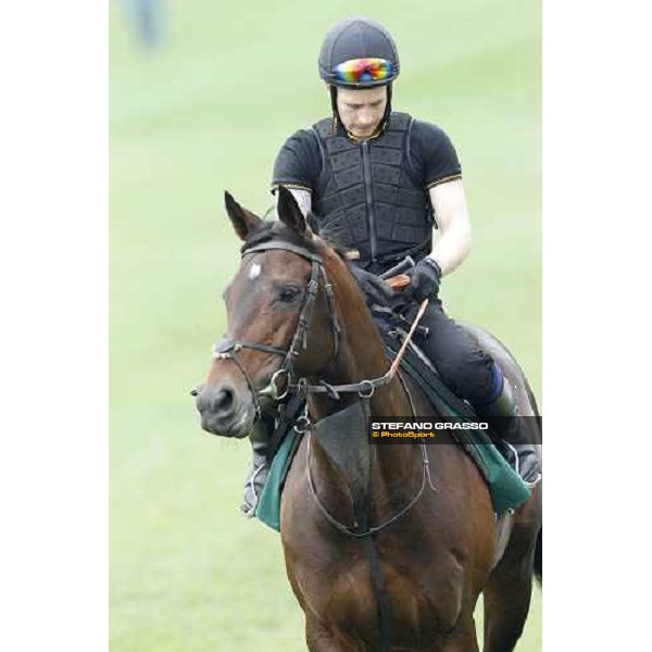 Morning trackworks at Sha Tin racecourse - Jakkalberry Hong Kong, 8th dec. 2011 ph.Stefano Grasso