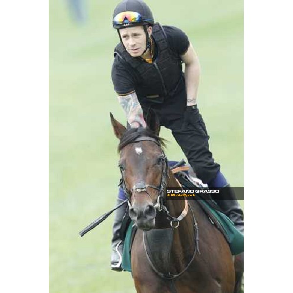 Morning trackworks at Sha Tin racecourse - Jakkalberry Hong Kong, 8th dec. 2011 ph.Stefano Grasso