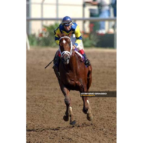 John Velazquez on Speighstown winner of Breeders\' Cup Sprint Dallas 30th october 2004 ph. Stefano Grasso