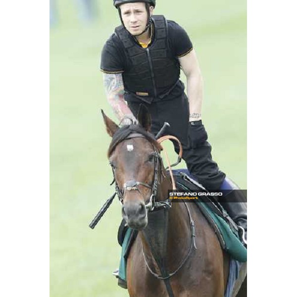 Morning trackworks at Sha Tin racecourse - Jakkalberry Hong Kong, 8th dec. 2011 ph.Stefano Grasso