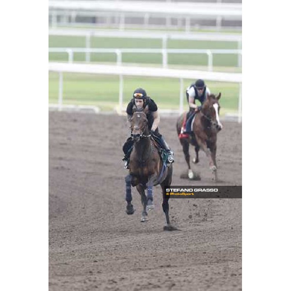 Morning trackworks at Sha Tin racecourse - Jakkalberry Hong Kong, 8th dec. 2011 ph.Stefano Grasso