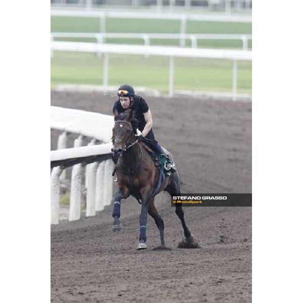 Morning trackworks at Sha Tin racecourse - Jakkalberry Hong Kong, 8th dec. 2011 ph.Stefano Grasso