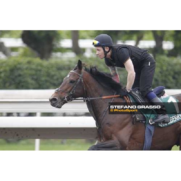 Morning trackworks at Sha Tin racecourse - Jakkalberry Hong Kong, 8th dec. 2011 ph.Stefano Grasso