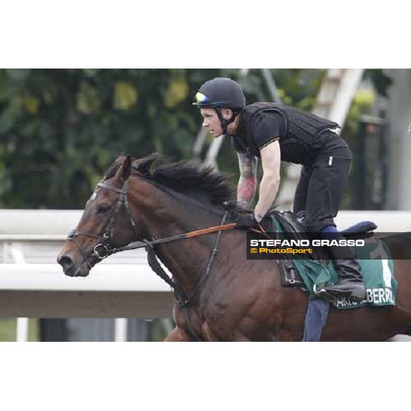 Morning trackworks at Sha Tin racecourse - Jakkalberry Hong Kong, 8th dec. 2011 ph.Stefano Grasso