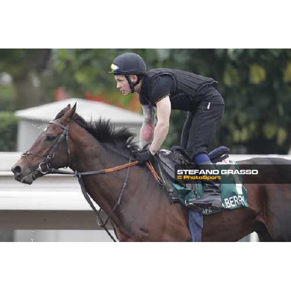 Morning trackworks at Sha Tin racecourse - Jakkalberry Hong Kong, 8th dec. 2011 ph.Stefano Grasso