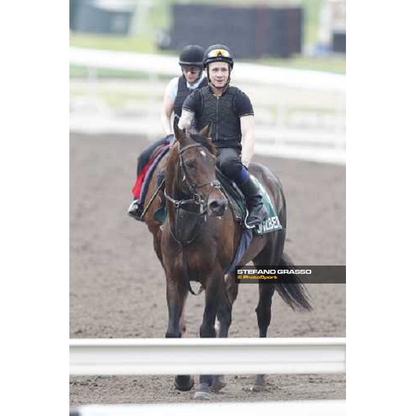 Morning trackworks at Sha Tin racecourse - Jakkalberry Hong Kong, 8th dec. 2011 ph.Stefano Grasso