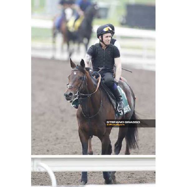 Morning trackworks at Sha Tin racecourse - Jakkalberry Hong Kong, 8th dec. 2011 ph.Stefano Grasso