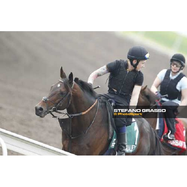 Morning trackworks at Sha Tin racecourse - Jakkalberry Hong Kong, 8th dec. 2011 ph.Stefano Grasso